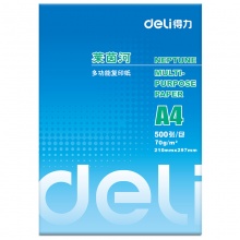 得力（deli） 7402 A4 萊茵河復印紙 70g 500張/包 8包/箱